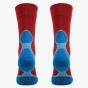 Skarpety trekkingowe wełna merino merynos Lasting (4).webp
